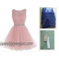 Henglizh Short Dress Tulle Prom Evening Dress s Lace Cocktail Party Gown