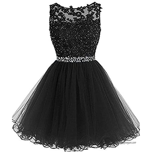 Henglizh Short Dress Tulle Prom Evening Dress s Lace Cocktail Party Gown