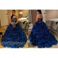 XSWPL Gorgeous Heavy Beaded Organza Quinceanera Dresses for Sweet 16 Ball Gowns