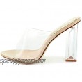 Cape Robbin Shoes Fusion Translucent Block High-Heel Mule Open Toe Sandal (8.5) Nude