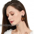 Acrylic Earrings for Women  Funtopia 30 Pairs Trendy Tortoise Shell Earrings  Big Resin Hoop Stud Drop Dangle Statement Earrings Fashion Jewelry for Birthday Party Christmas